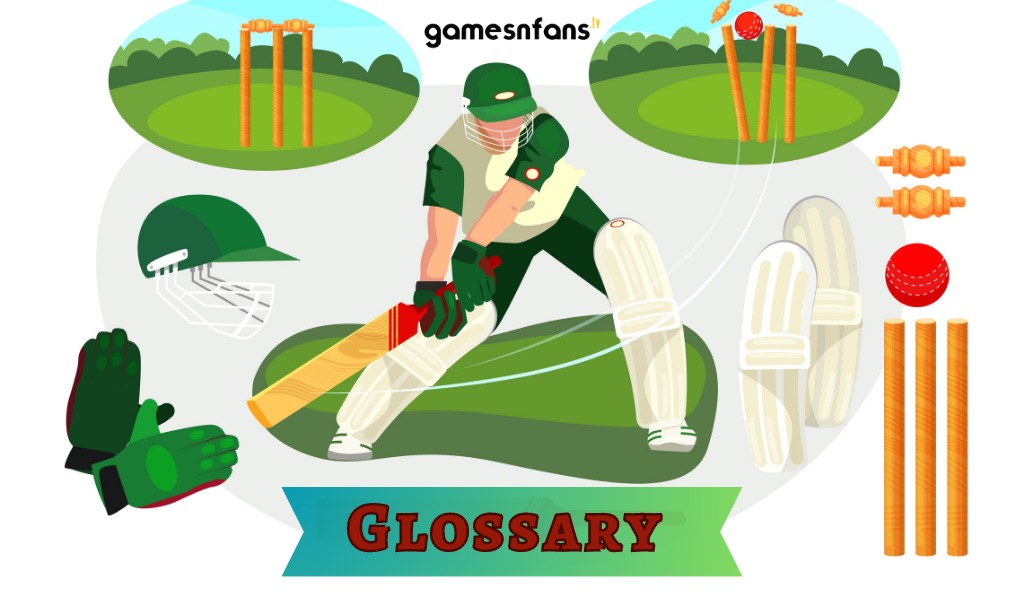 Glossary of cricket