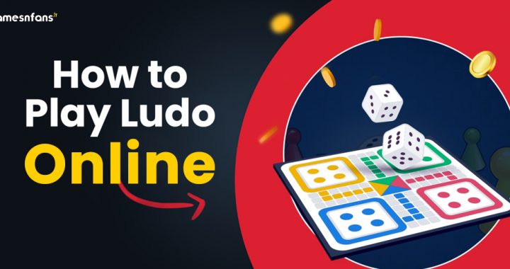 How to Play Ludo Online?